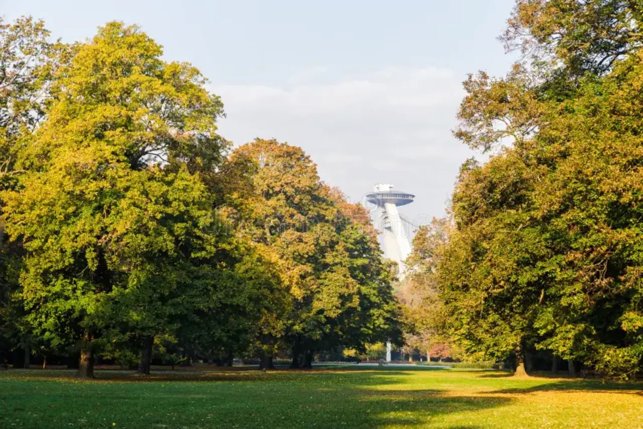 Bratislava in a Day: Small Capital, Big Story - Image 14